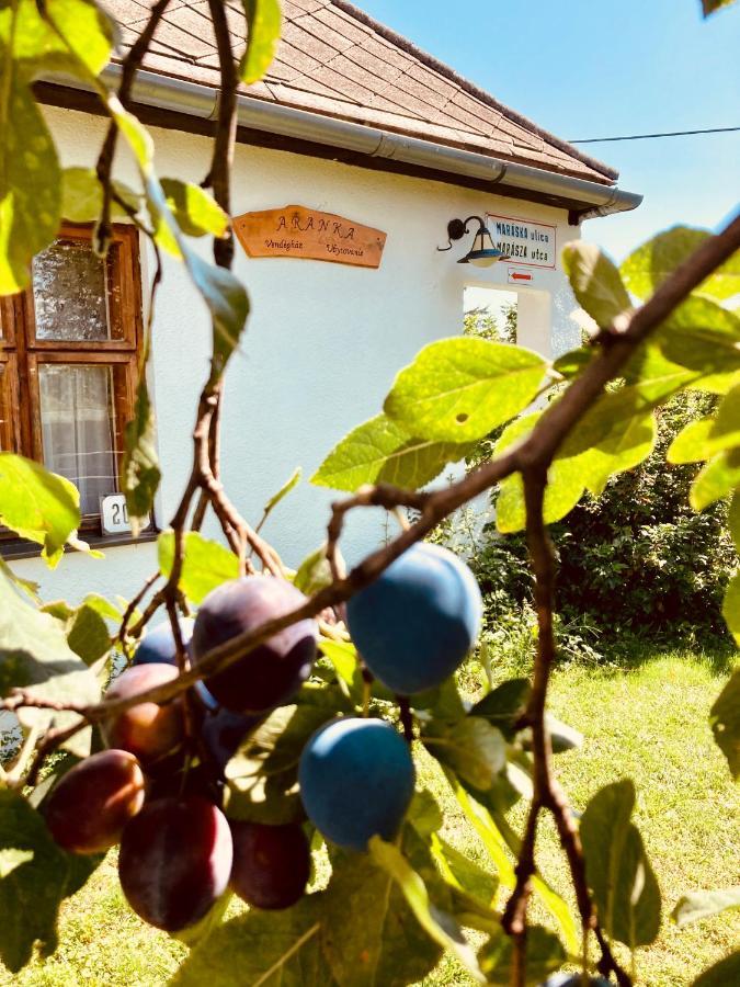 Ubytovanie U Aranky Cierna nad Tisou エクステリア 写真