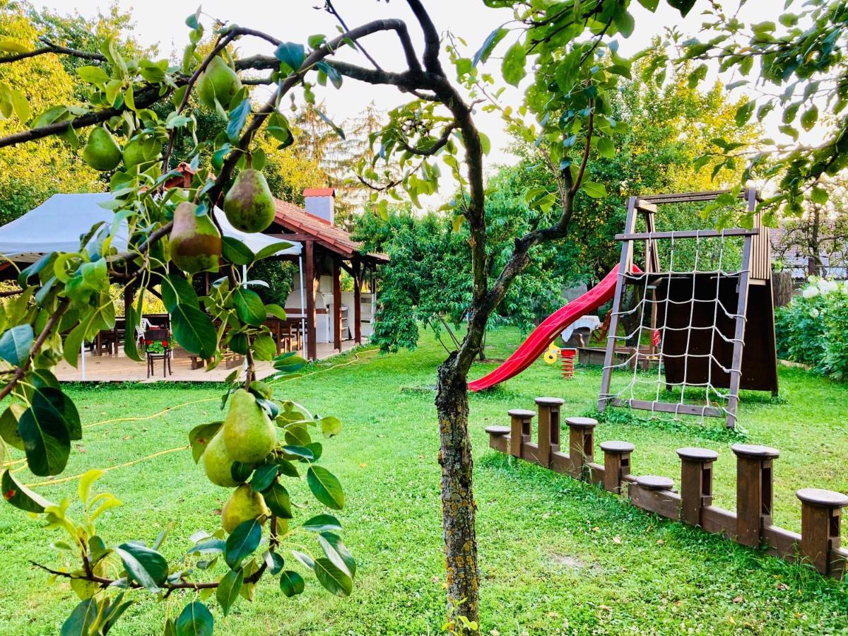 Ubytovanie U Aranky Cierna nad Tisou エクステリア 写真